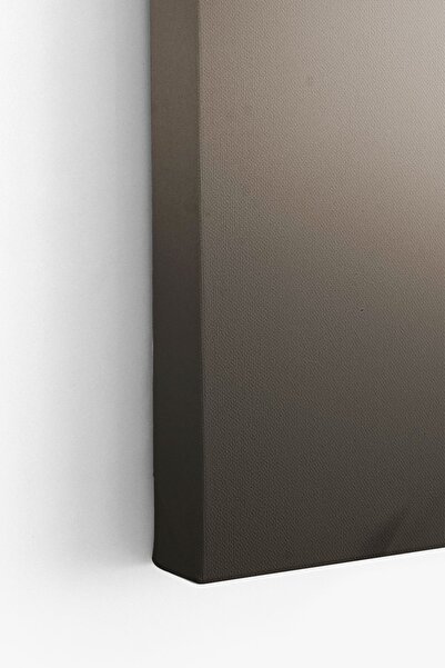 Artavessa Dekoratif Kanvas Tablo - FDC30