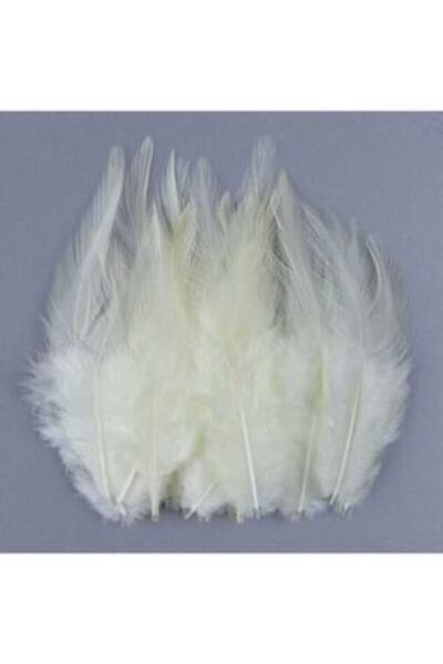 Aker Hediyelik 100lü Krem Kuş Tüyü 1 5x2 Süslemelik Krem Kuş Tüyleri – Diğer ...