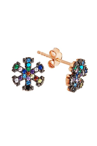 Argentum Concept 925 Ayar Gümüş Renkli Taşlı Rose Kar Tanesi Küpe - K068601