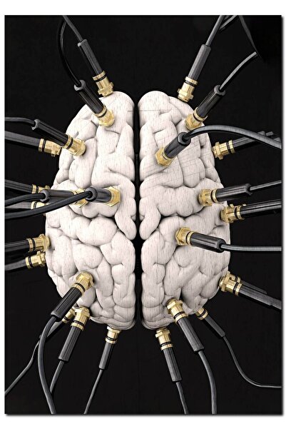 Cakatablo Figurină vizuală din lemn pentru controlul minții și a creierului (...