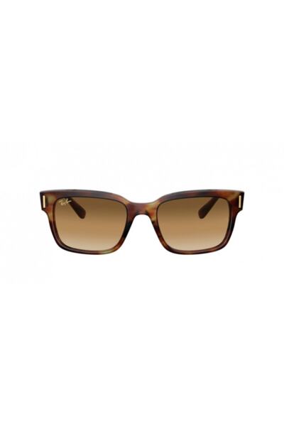 Ray-Ban Rb 2190 954/51 55