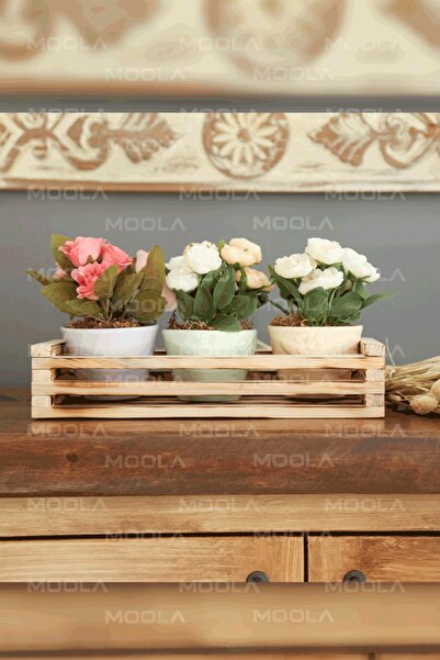 Moola Carcasă decorativă din lemn pentru prezentare, Organizator multifuncțio...