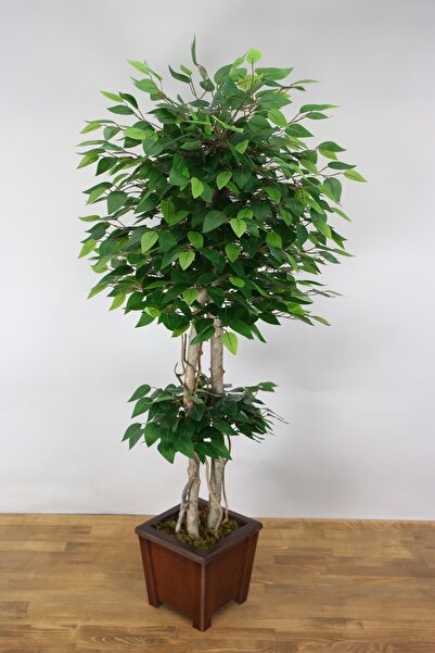 Yapay Çiçek Deposu Yapay Bodur Benjamin Ağacı 135 cm Yeşil Yeşil