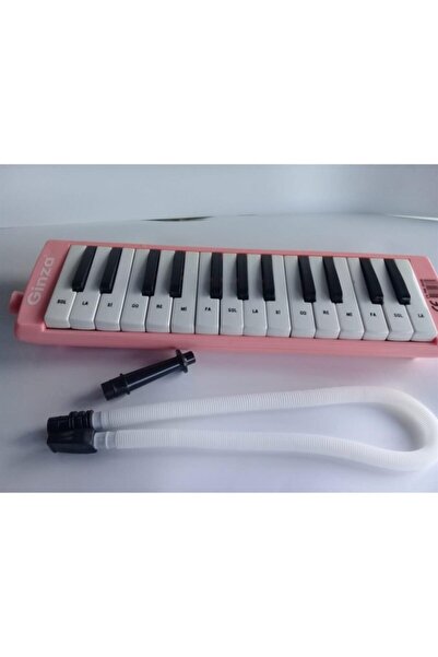 Genel Markalar Gn-209 27k Melodika Pembe