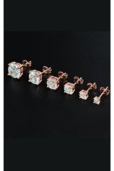 Erer Gümüş Gümüş Rose Tek Taş Bayan Küpe