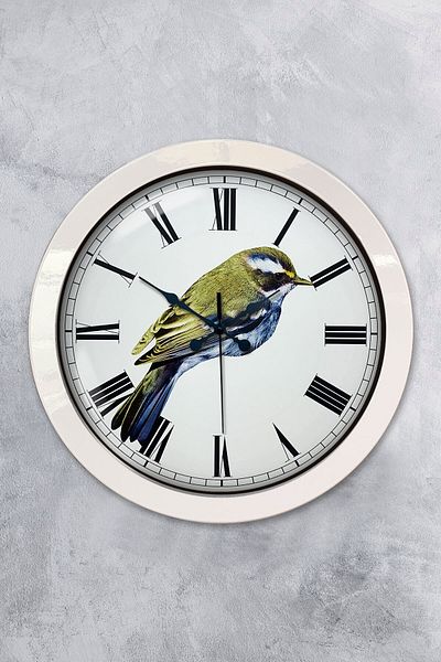 Kasva Concept Cadou 36 Cm Ceas de Perete Pasăre Metal Alb