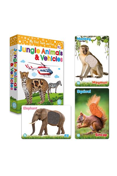 Circle Toys Touch Feel Forest Animals and Vehicles