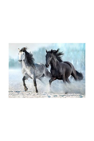 Blue Focus 1000 Piece Puzzle - Horses Horses