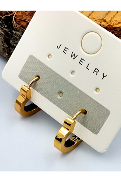 Monalisa Home أقراط على شكل قلب بلون ذهبي من الفولاذ 316 لتر