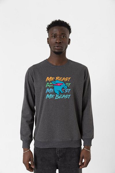 Tshirthane Ανδρικό φούτερ Mr Beast Lettern Smoked 2ip