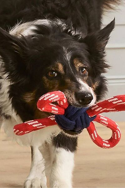 Tchibo Play Rope For Dog, Navy and Red