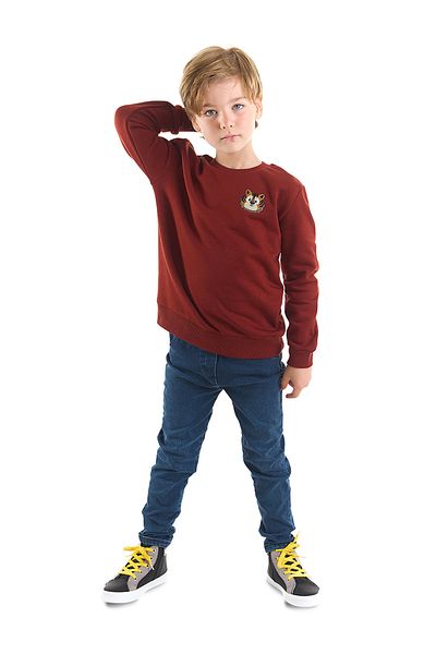 Denokids Tiger-Boy-Sweatshirt