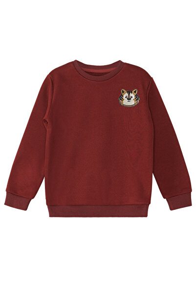 Denokids Mikina Tiger Boy