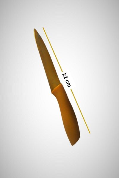 Rooc G006 Gold Galaxy Multi-Purpose Chef Knife 22 Cm