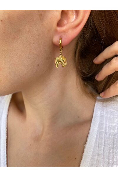 Hora Fil Detaylı Tasarım Ürünü Gold Çelik Küpe