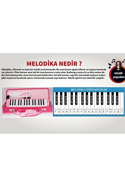 Genel Markalar Melodika 32 Tuşlu Çantalı Pembe Renk Bez Çantalı Taşıma Kulplu