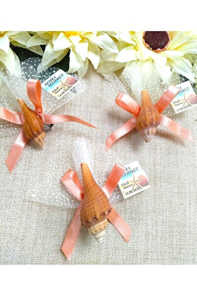 Murat Süs Kahverengi Deniz Kabuğu | Magnet | Kına - Düğün - Nikah Nikah Şekeri