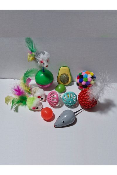 Petistera 10 Piece Cat Toys Set