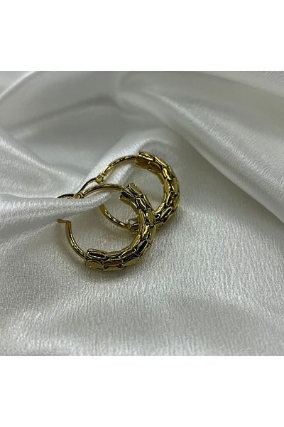 Lavienta Gold Snake Pattern Steel Hoop Earrings