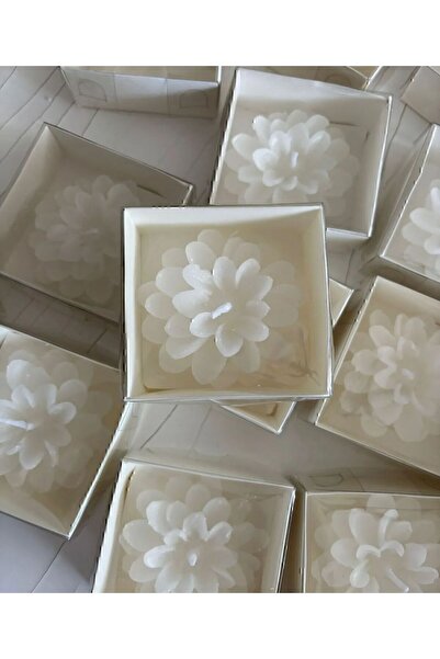 Larmina Decoration 15 قطعة من شمعة زهرة اللوتس مع صندوق كرافت