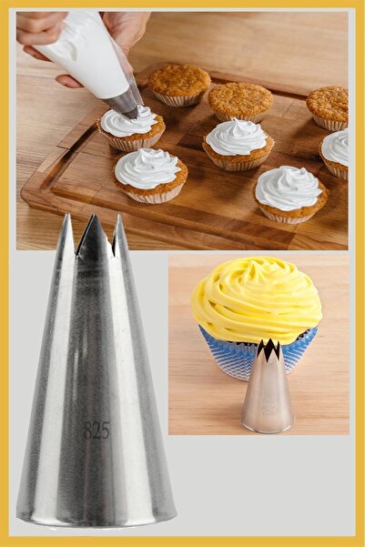 ENJOYPEPERON Stainless Steel Cream Piping Bag Tip (Whipping Bag Tip, Cap) 1 P...