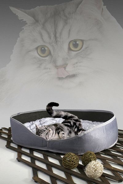 Bundera Suzi Cat Dog Bed Gray Pet Cat Cushion Cat Nest House Hut