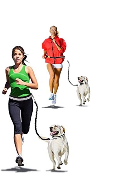 Bundera Dog Collar Hands Free Black Cat Dog Walking Belt Waist Collar Strap Adjustable Leash