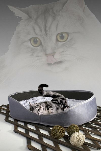 Bundeba Suzi Cat Dog Bed Gray Pet Cat Cushion Cat Nest House Hut