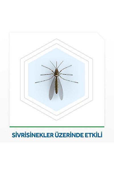 Raid Elekro Likit 2 Yedek, Ekonomik Paket, 60 Gece (sivrisineklere Karşı)