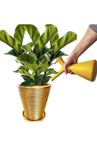 plot plant lovers of turkey Büyük Toprak Çömlek Saksı Altın Rengi Çap: 24cm /...
