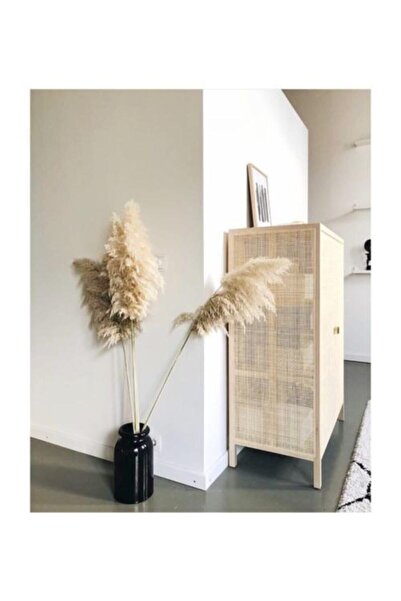 Love Organizasyon Beyaz Pampas Doğal 7 Adet Naturel Pampas 100cm