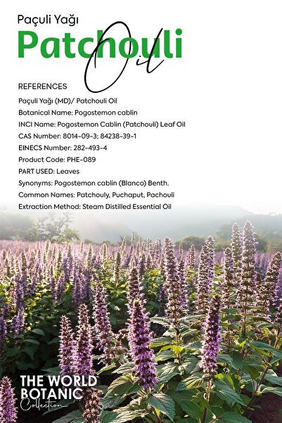 Oleora زيت الباتشولي - نقي، غير مخفف، أساسي 10 مل (زيت الباتشولي)