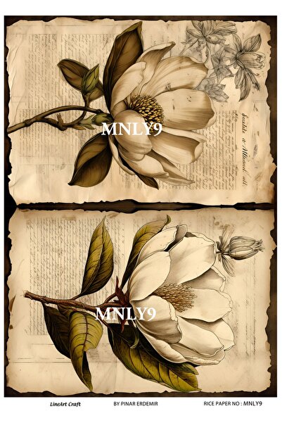 LİNEART MNLY9 موديل 30*42 سم ديكوباج نحاسي - سلسلة ماجنوليا