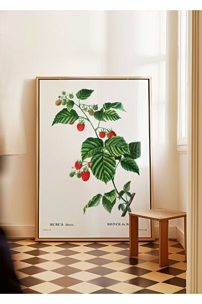 ARTHOUSECOLLECTIVE Umetnik / Pierre J.R. / Botanička kolekcija - Poster bez o...