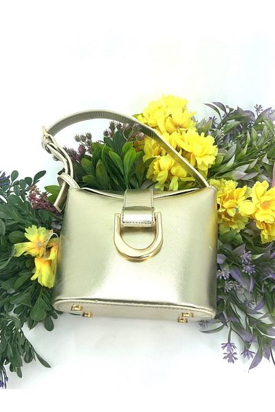 Seniorah Gold Flat Buckle Strap Women's Bag
