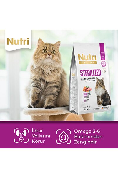 Nutri Feline Sterilized - Taze Somonlu, Glutensiz ve Tahılsız Kısırlaştırılmış Kedi Maması 2 Kg
