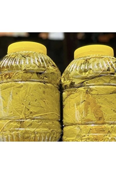 bahçemden köy ürünleri 2025 Yeni Sezon Salamura Yaprak Ince Ve Damarsız Uç Yaprak 5kg Bidon Yeni Mahsül5'lik Bidon Net 3 Kg