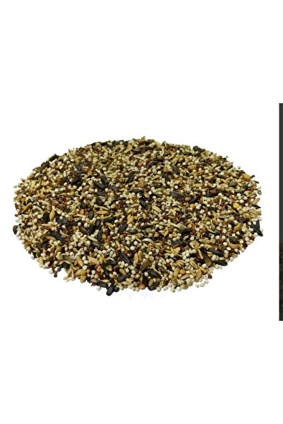 Natural Saka,florya Ve Doğa Kuşu Yemi King Siskin Carduelis Luxory Aky Saka V...