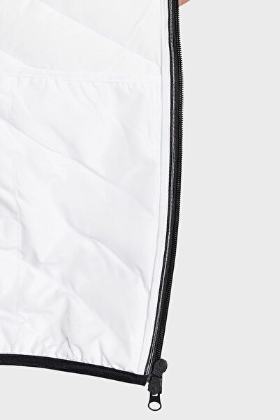 EA7 Men's Coat - Regular Fit, 100% Down, Padded - COAT 8NPB13 PNE1Z 1100