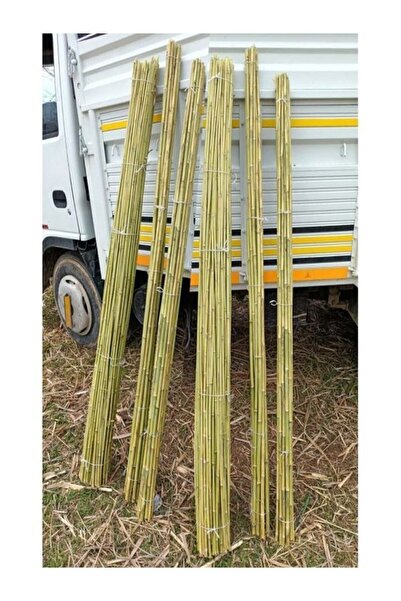 Akdeniz Fidan Bitki Destek Çubuğu 15 Adet 140-150 Cm ( Fidan, Fide, Sarmaşık ...