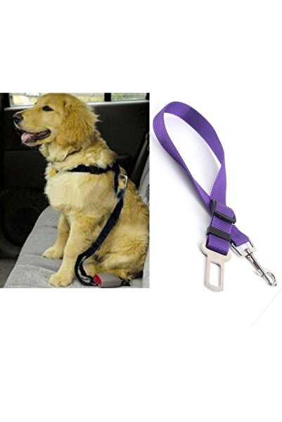 Bundera Kedi Köpek Emniyet Kemeri Tasması Ayarlanabilir Tokalı Tasma Araç Oto...