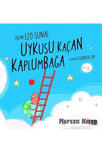 Masalperest Uykusu Kaçan Kaplumbağa