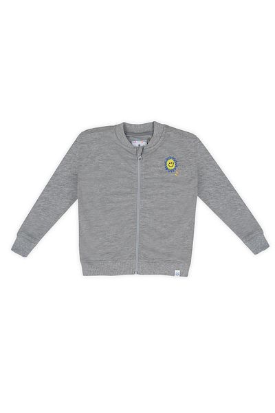 BEETLEBEEZ Kids Unisex Gray Crew Neck Zippered Sweatshirt