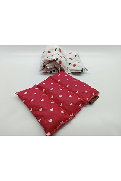 TODO HOME CHERRY PATTERNED CHERRY SEED PILLOW SET