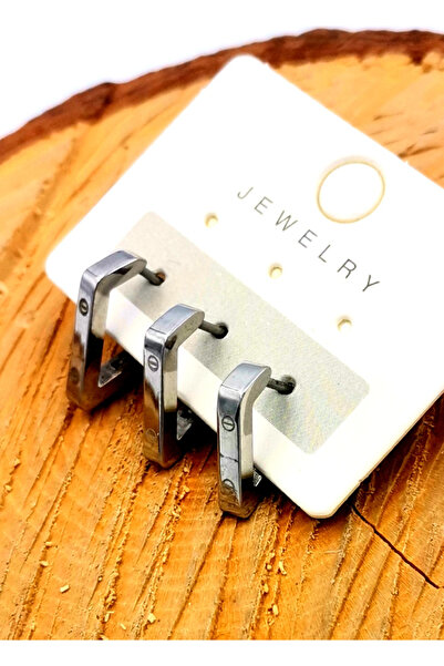 Monalisa Home Luxury Steel Earrings - Zircon Stone Detailed