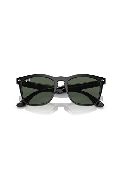 Ray-Ban 0RB 4487 6629/71 54
