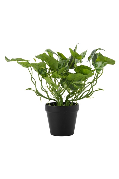 Mudo Home POTHOS SAKSILI YAPAY BİTKİSİ 30CM