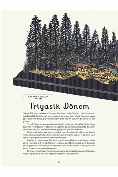 megakidslab Dinosaurium - Dinazor Müzesine Hoş Geldiniz