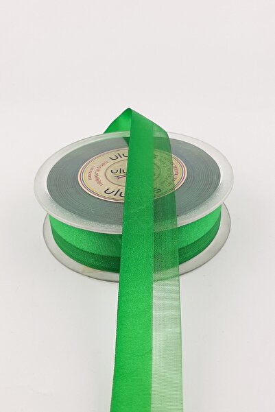 Limelia Panglică de apă de culoare verde 2,5 cm