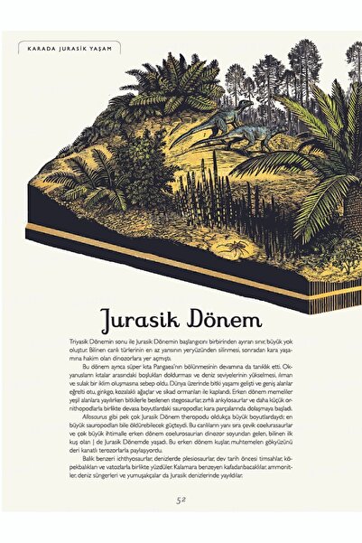 megakidslab Dinosaurium - Dinazor Müzesine Hoş Geldiniz